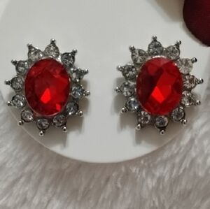 Elegant Red and Silver Earrings